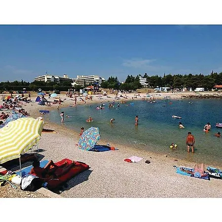 Awesome In Novigrad With Kitchen Apartman