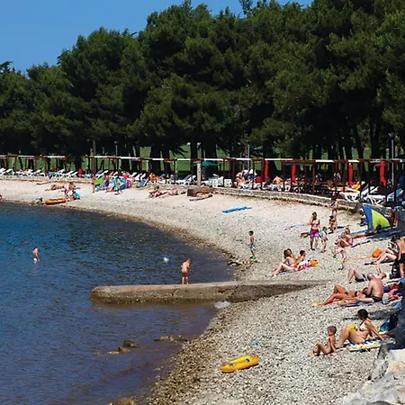 Awesome In Novigrad With Kitchen Apartman